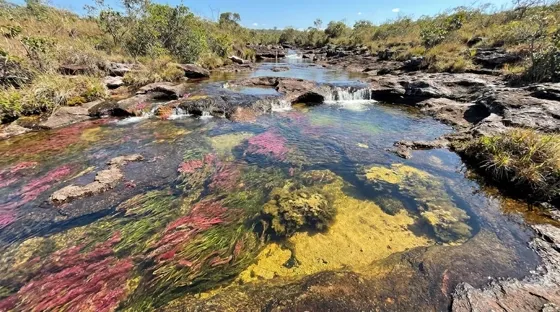 Caño Cristales, Colombia